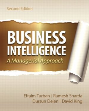 business intelligence 2nd edition turban test bank