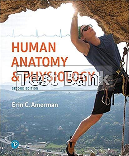 Human Anatomy And Physiology 2nd Edition Amerman Test Bank