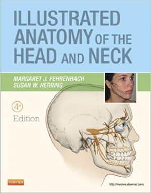 illustrated anatomy of the head and neck 4th edition fehrenbach test bank