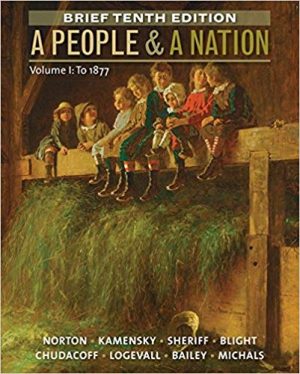 people and a nation volume i to 1877 brief 10th edition norton test bank