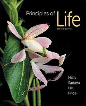 principles of life 2nd edition hillis test bank