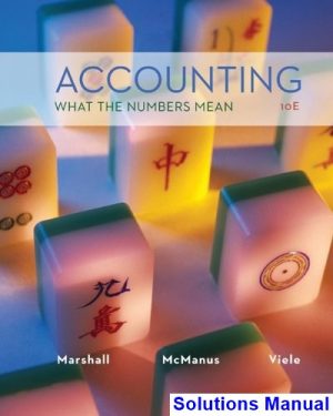 Accounting What the Numbers Mean 10th Edition Marshall Solutions Manual