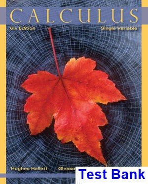 Calculus Single Variable 6th Edition Hughes-Hallett Test Bank