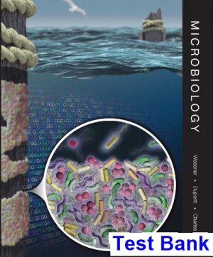 Microbiology 1st Edition Wessner Test Bank
