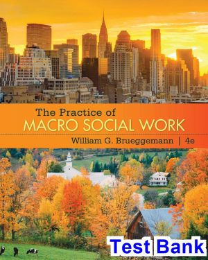 Practice of Macro Social Work 4th Edition Brueggemann Test Bank