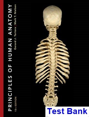Principles of Human Anatomy 13th Edition Tortora Test Bank